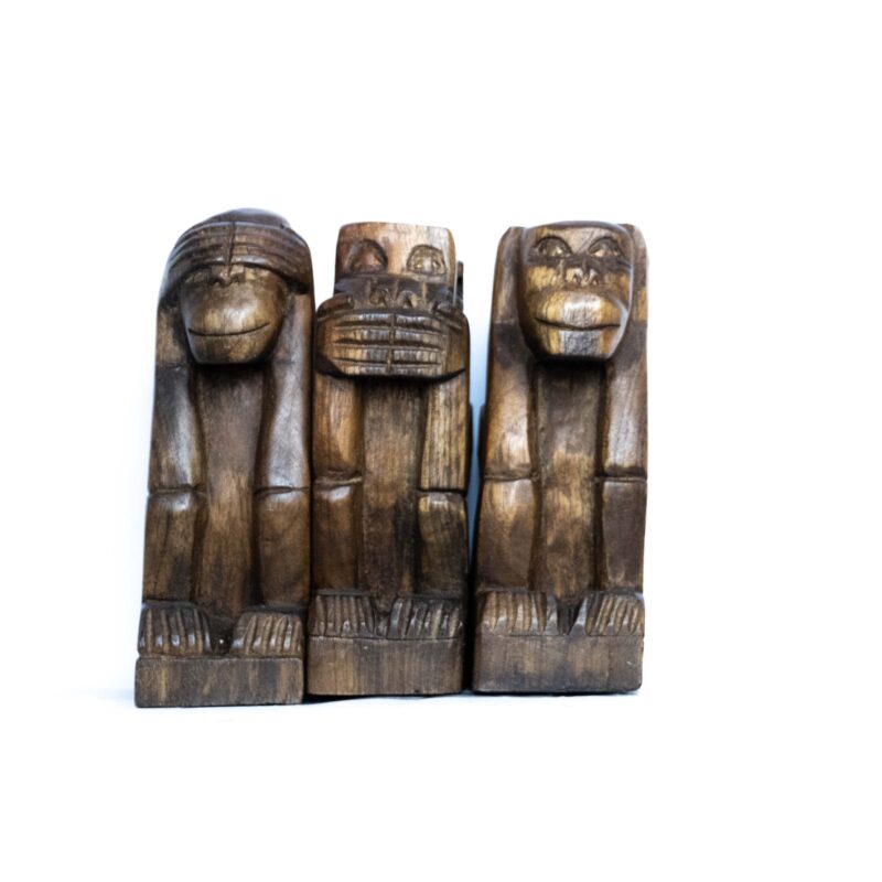 Monos sabios