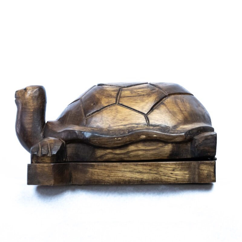 Cenicero Tortuga